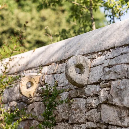Masseria Il Pergolo Dom wakacyjny