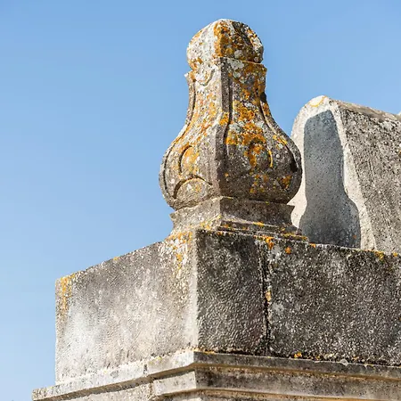 Holiday home Masseria Il Pergolo Martina Franca
